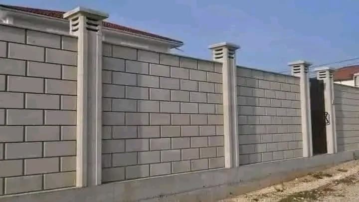 Project Overview